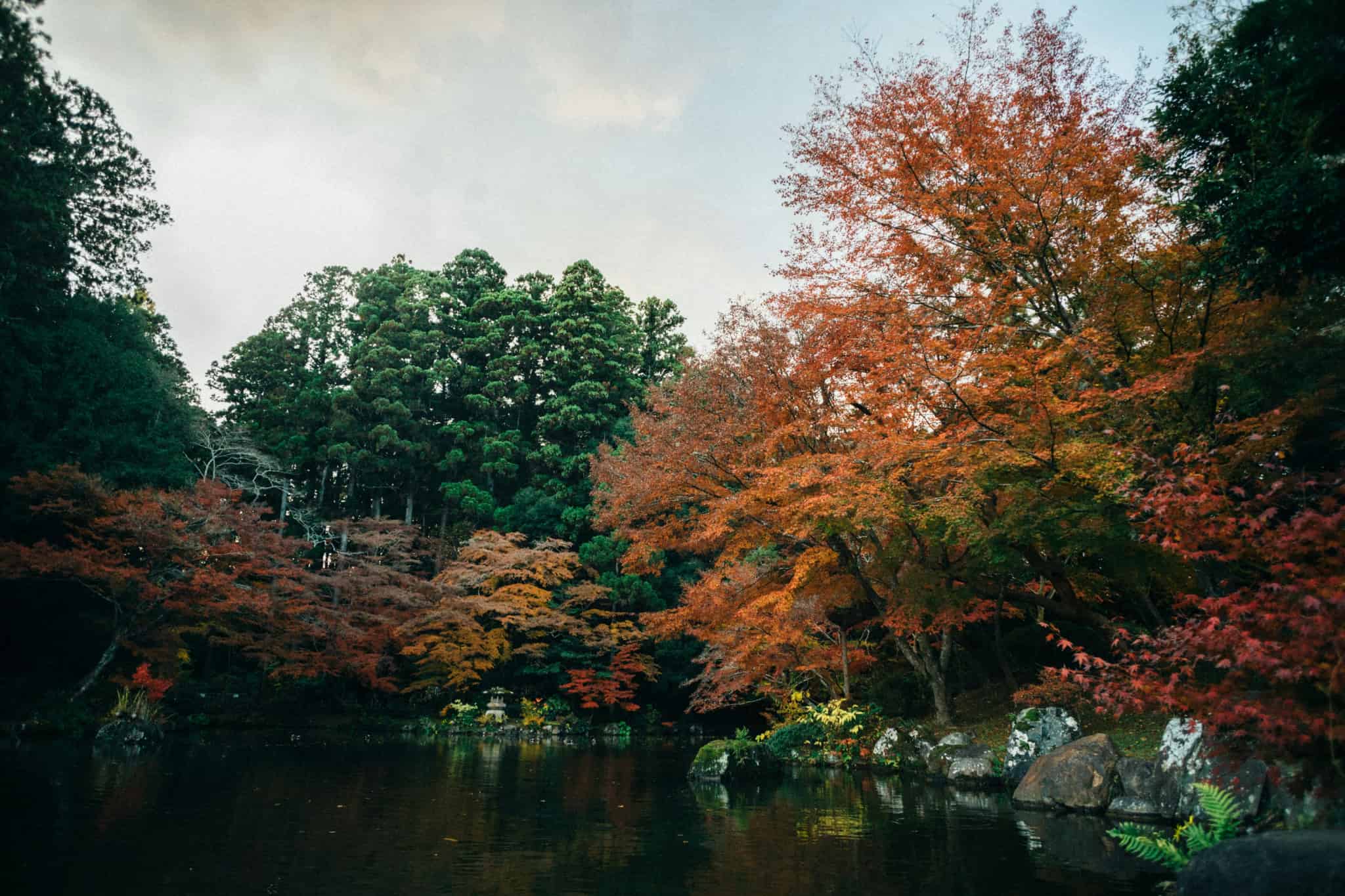 tsuyoshi-kozu-Xa18jx_WGAM-unsplash.jpg